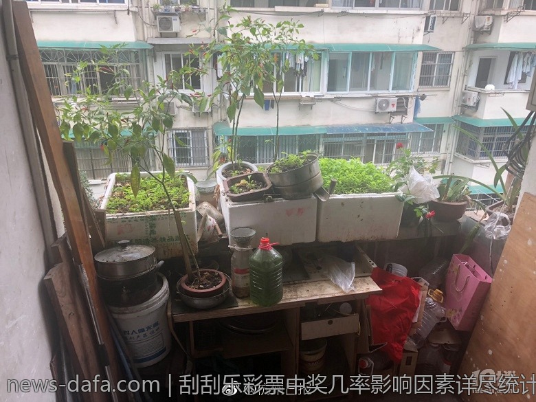 刮刮乐彩票中奖几率影响因素详尽统计