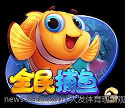 大发体育现场观赛体验升华
